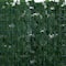 40" x 120" Artificial Ivy Privacy Fence Wall Screen